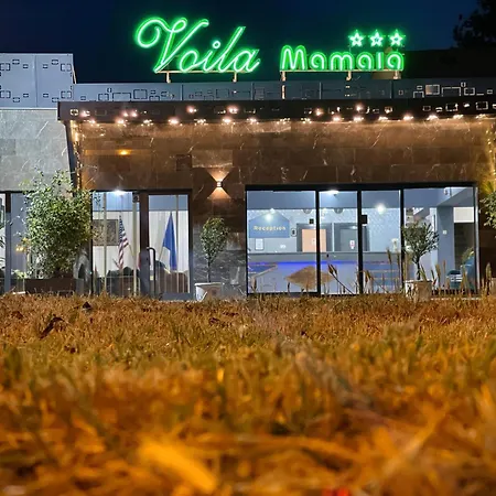 Voila 마마이아